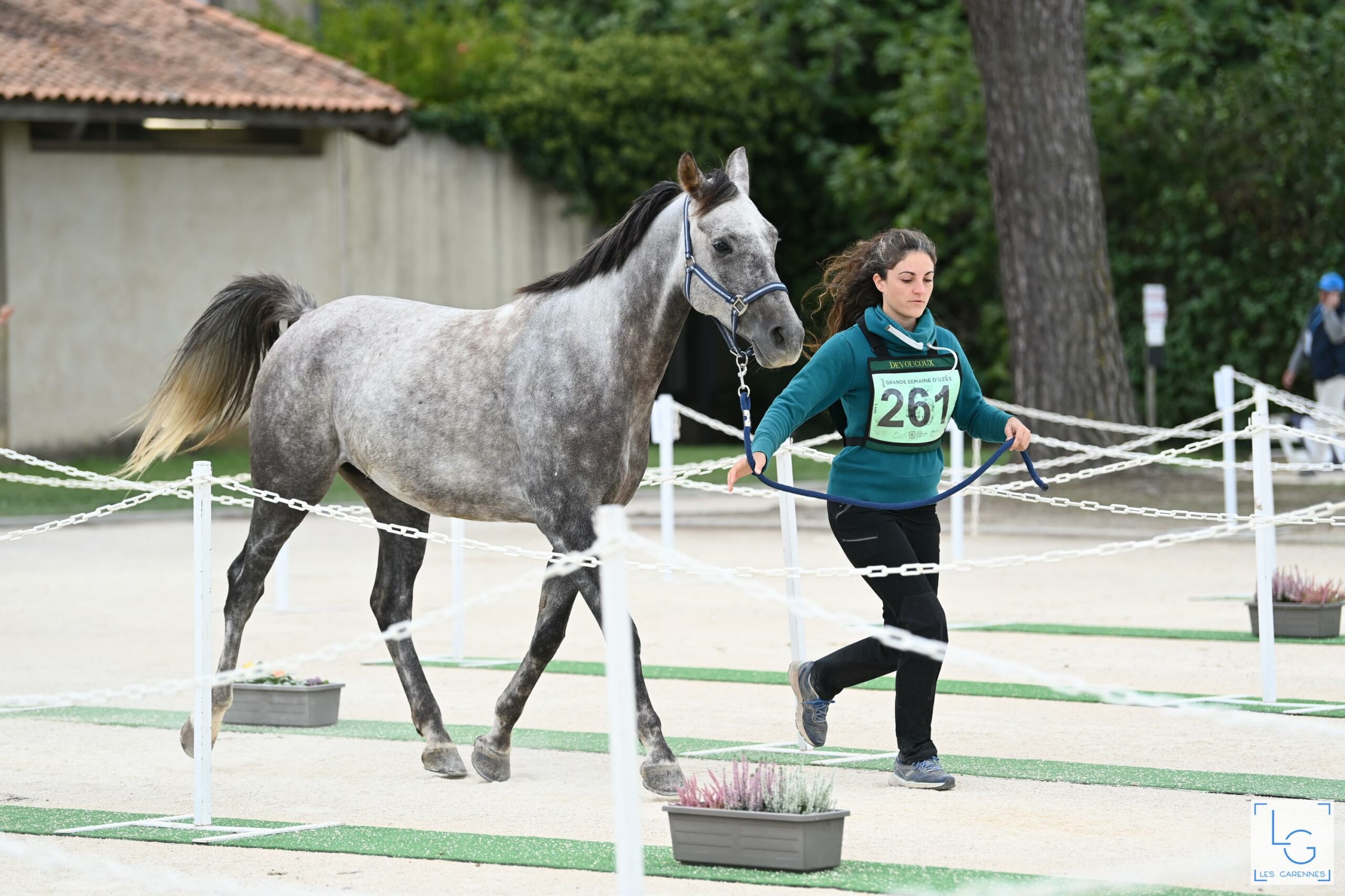 trotting cheval endurance