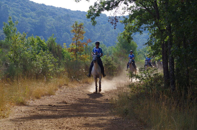 roadbook endurance équestre