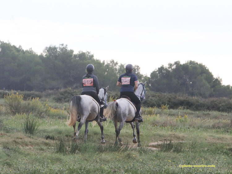 endurance équestre uzès