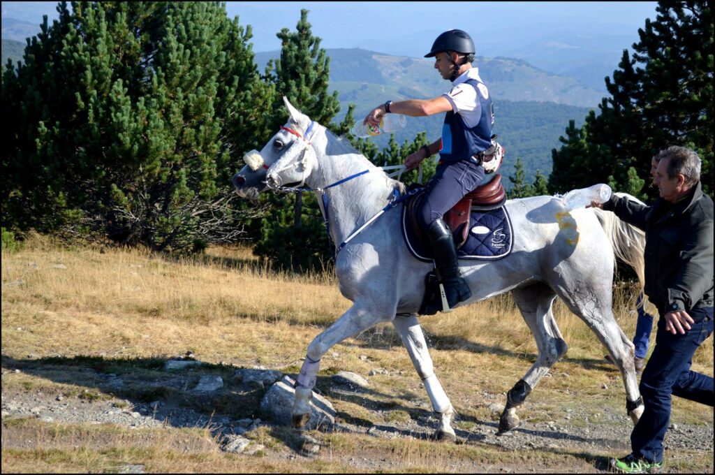 laurent Mosti et Easy Fontnoire