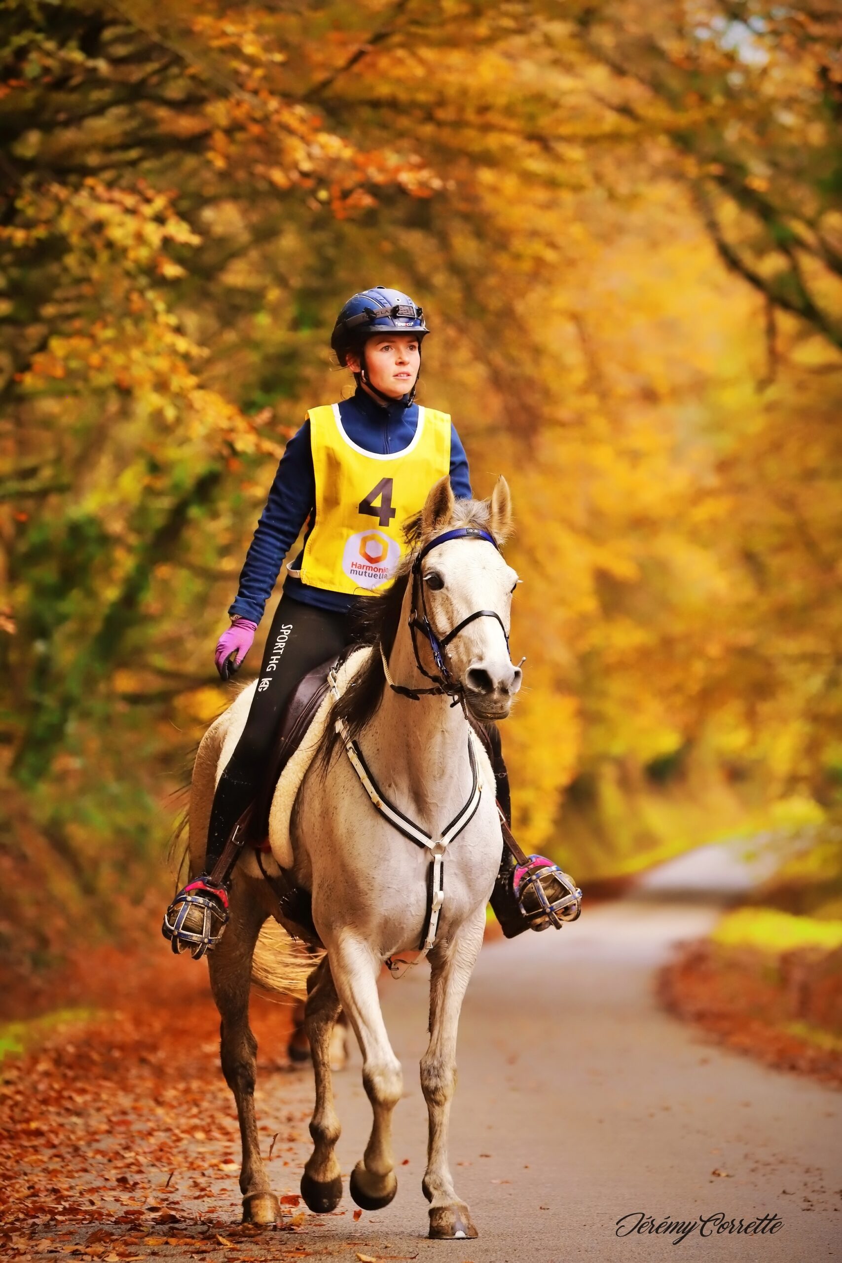 endurance equestre_jeremyphto