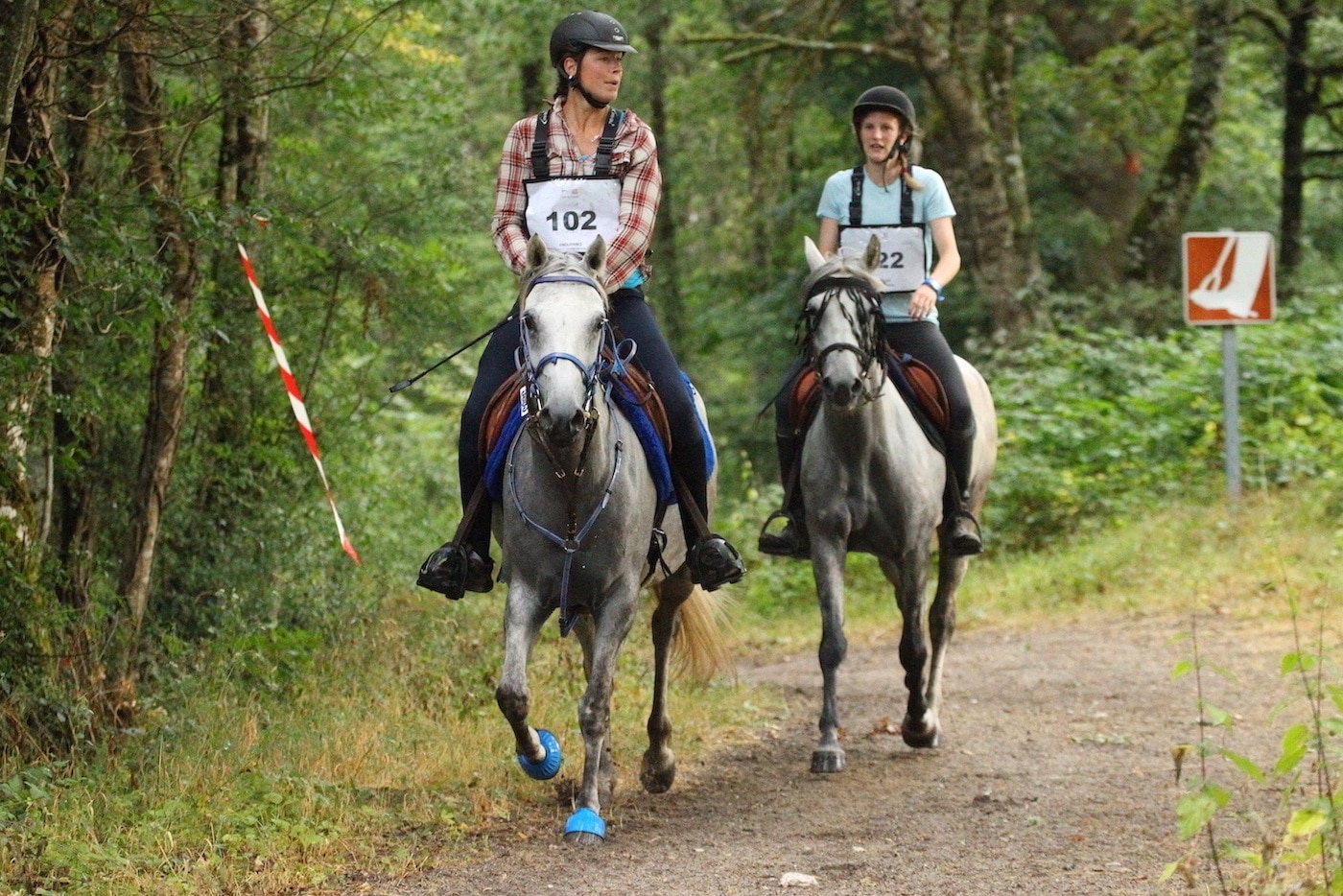 Endurance Lamotte Beuvron