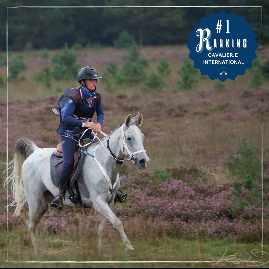 Mélody Theolissat championnats d'Europe senior endurance équestre